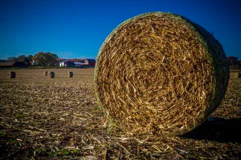 Hay bale 写真素材