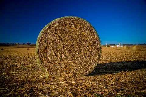Hay bale Foto stock
