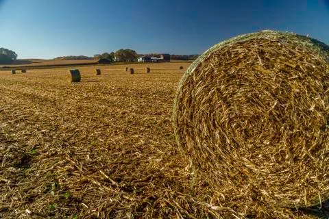 Hay bale Stock Photos