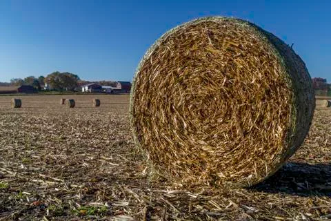 Hay bale Stock Photos