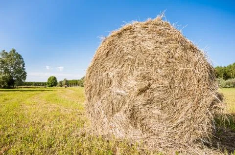 Hay bale Stock Photos