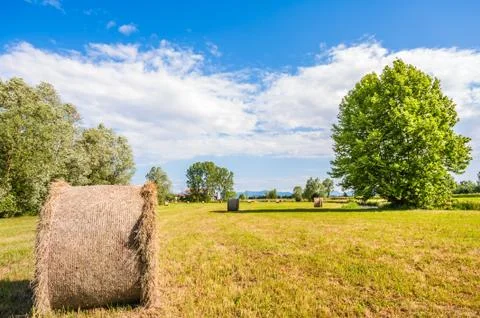 Hay bale Stock Photos