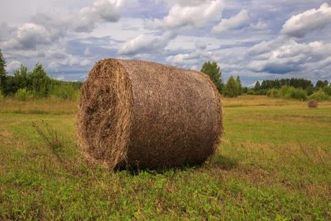 Hay Bale Stock Photos