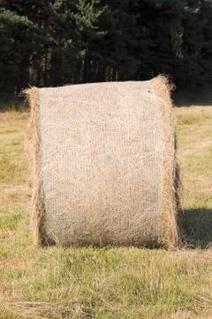 Hay Bale Stock Photos