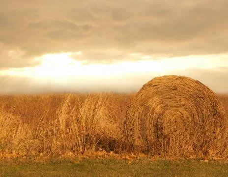 Hay bale Stock Photos