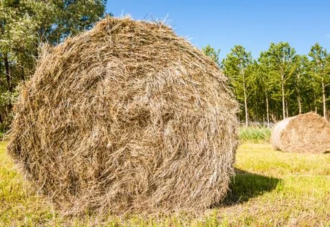 Hay bale Stock Photos