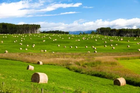 Hay Bale 스톡 사진