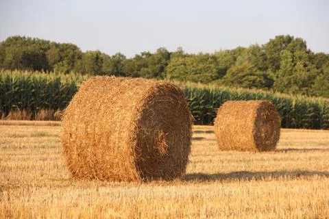 Hay Bale Stock Photos