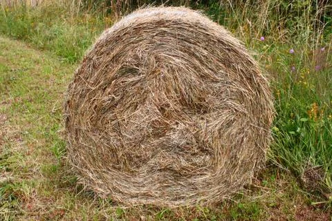 Hay bale Stock Photos