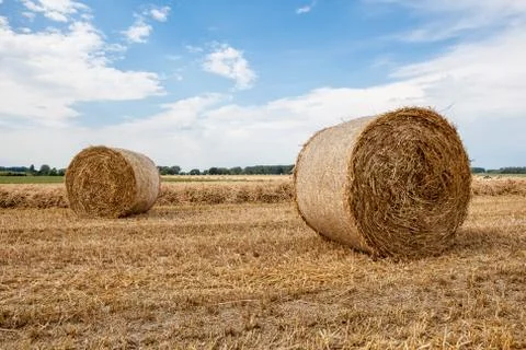 An hay bale Stock Photos