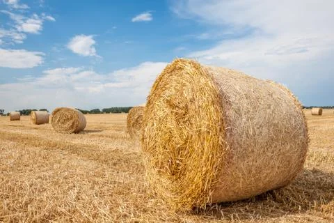 An hay bale Stock Photos