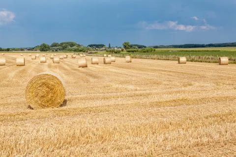 An hay bale Stock Photos