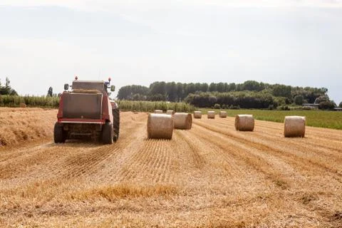 An hay bale Stock Photos