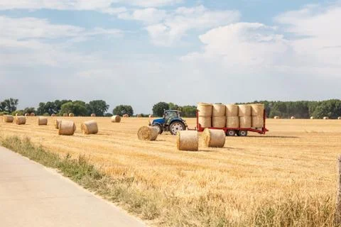 An hay bale Foto stock