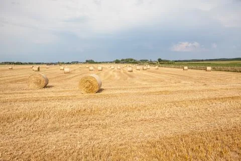 An hay bale Foto stock