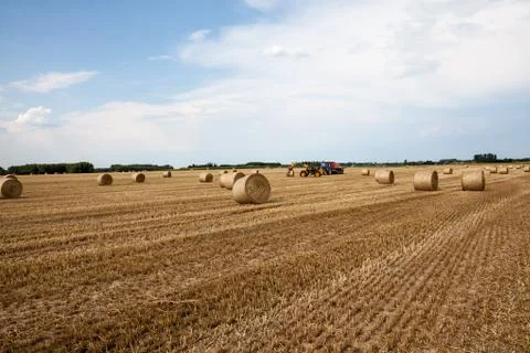 An hay bale Stock Photos