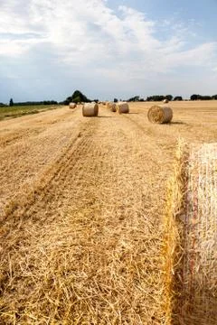 An hay bale Stock Photos