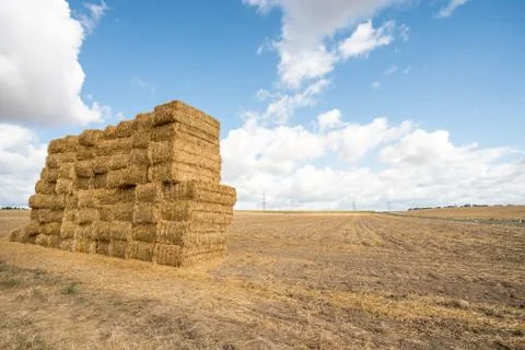 An hay bale Stock Photos