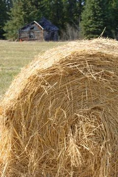 Hay Bale Stock Photos