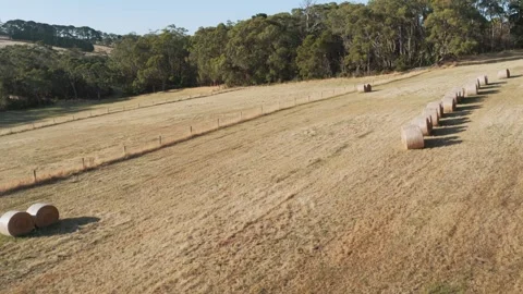 Hay Bale Rows Creating Patterns in Farmland, 6K Stock Footage 335800735