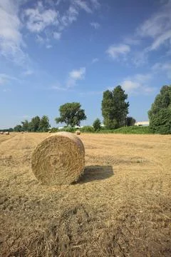 Hay bale seen up close Stock Photos