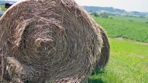 Hay bale Sitting in a Cornfield Stock Footage 25320397