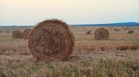 Hay bale slowly rolling Stock Footage 66339027