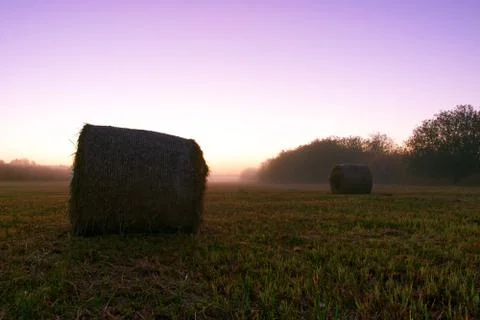 Hay bale at sunrise landscape Stock Photos