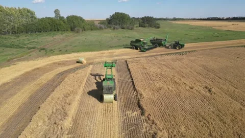 Hay Baler compressing a cut and making bales. Video stock 281268907