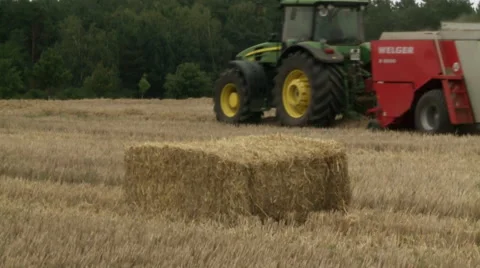 Hay baler producing rectangular straw bales from rye straw Video stock 59117721