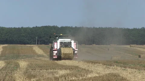 Hay baler producing rectangular straw bales from rye straw Video stock 59123734