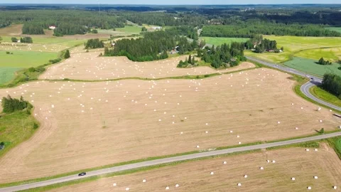 Hay-bales-0177 Stock Footage 314815049