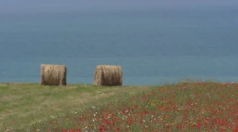 Hay bales and blooming field on clifftop at French coast Stock Footage 21761817