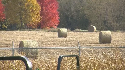 Hay Bales Autumn Stock Footage 108794873