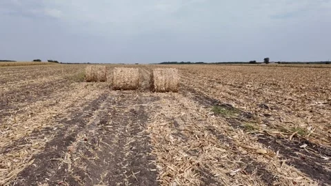 Hay Bales in Cornfield Under Clouds Stock Footage 285958374