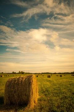 Hay bales in countryside Stock Photos