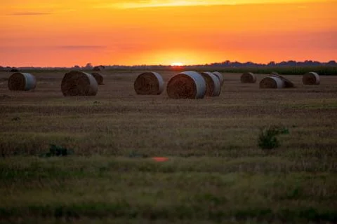 Hay bales in the evening light of the setting sun's rays Stock Photos