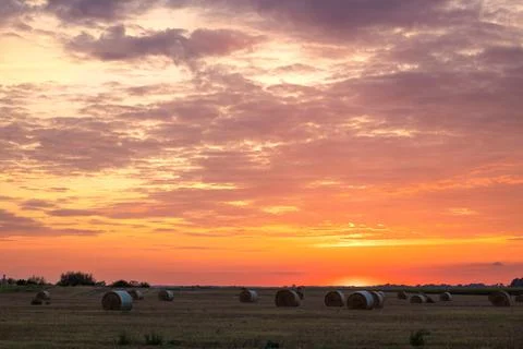 Hay bales in the evening light of the setting sun's rays Stock Photos