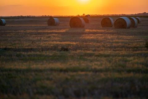 Hay bales in the evening light of the setting sun's rays Stock Photos