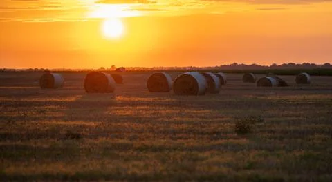 Hay bales in the evening light of the setting sun's rays Stock Photos