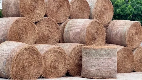 Hay bales at the feed store Stock Footage 270486270