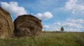 Hay bales field against lone tree HD Footage