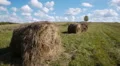 Hay bales field against lone tree HD Footage
