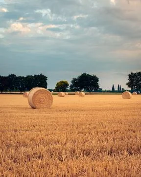 Hay bales on a field in August in the hungarian countryside at dusk Stock Photos