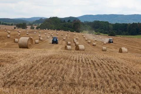 Hay bales in a field with blue sky and white clouds 库存照片