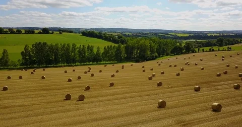 Hay bales in field during harvest season Stock Footage 84878043