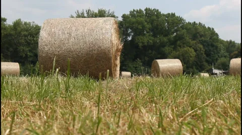 Hay bales in the field Stock Footage 31042221