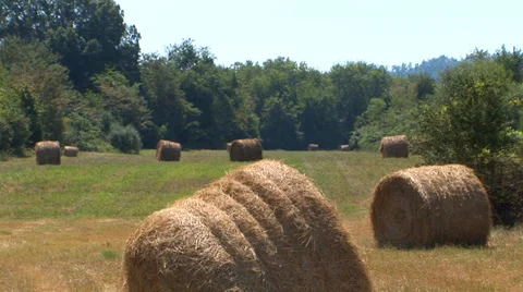 Hay Bales in Field Stock Footage 38765463