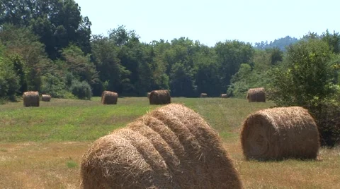 Hay Bales in Field Stock Footage 40683972