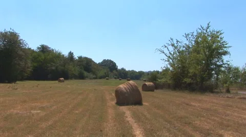 Hay Bales in Field Video stock 40683984